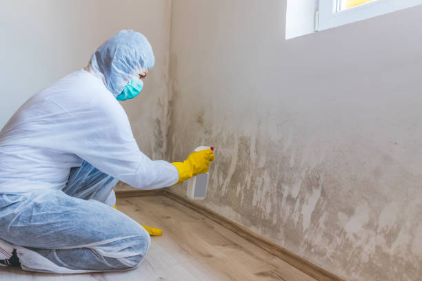 Mold Remediation specialist working in Waverly